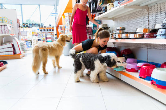 The Ultimate Guide to Choosing the Right Pet