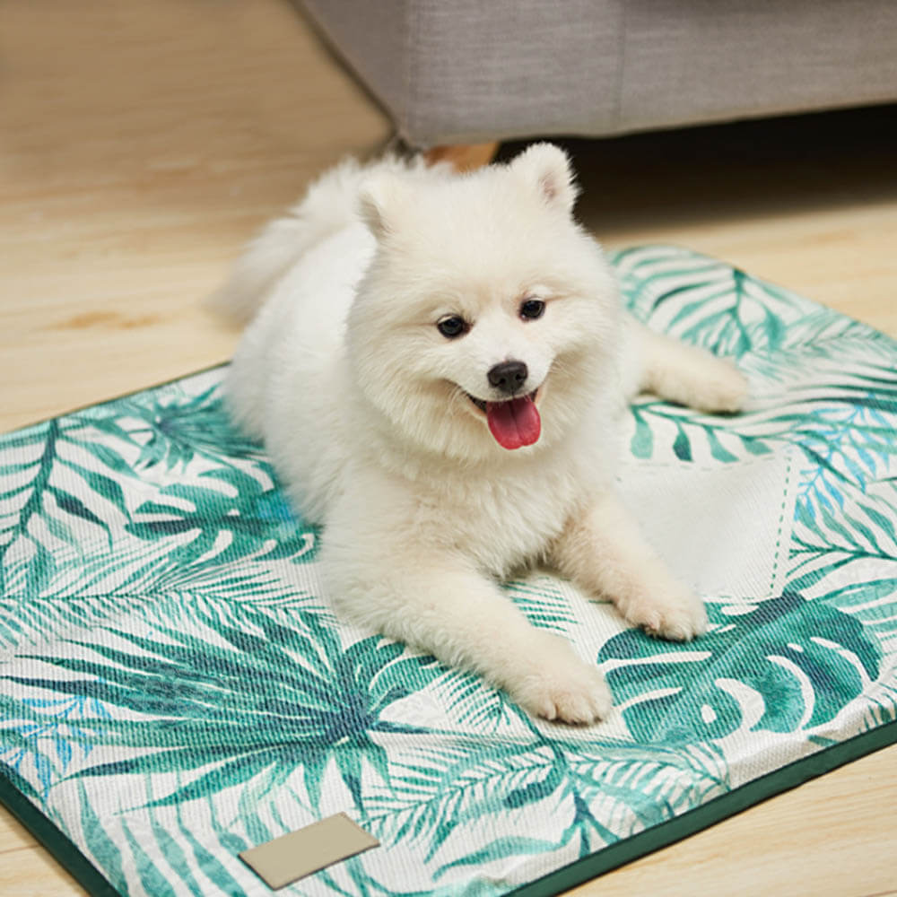 βοΈπΎ Summer Cooling Pad Ice Gel Bed for Cats & Dogs