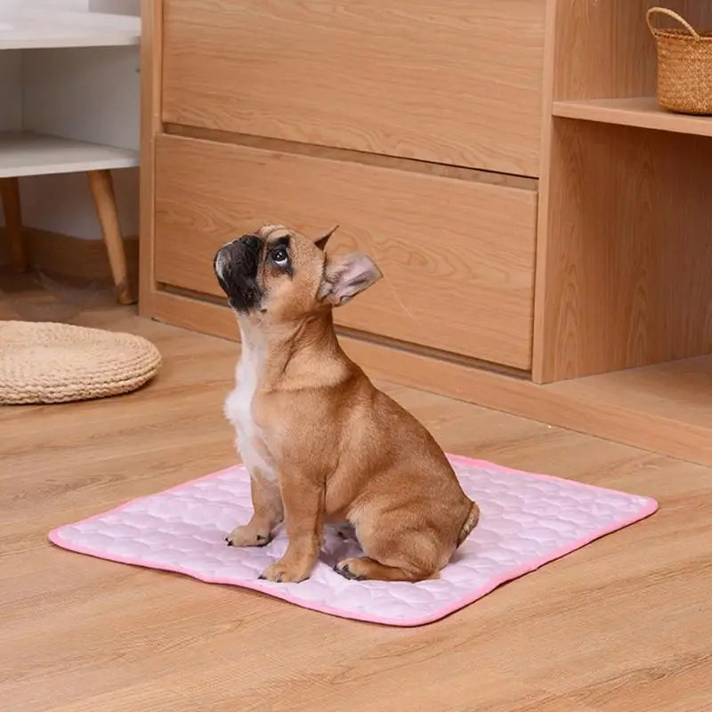 βοΈπΆ Cooling Pet Mat Breathable Summer Pad for Dogs & Cats