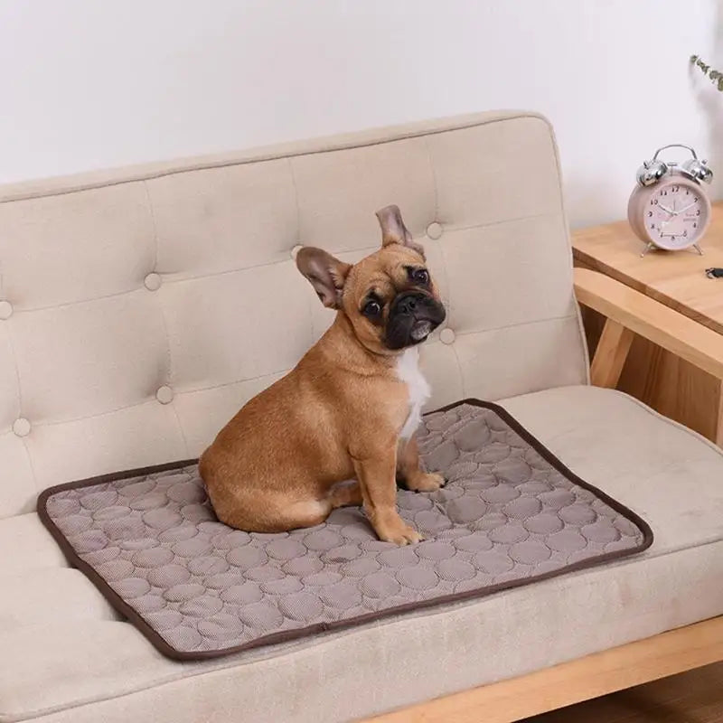 βοΈπΆ Cooling Pet Mat Breathable Summer Pad for Dogs & Cats