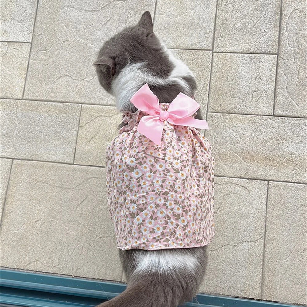 πΈπΊ Summer Cat Dress Cotton Suspender Princess Outfit