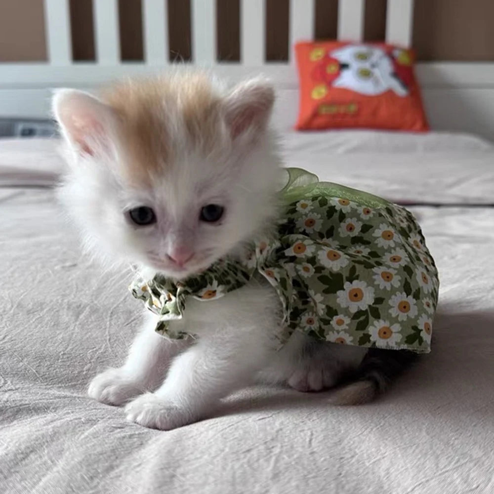 πΈπΊ Summer Cat Dress Cotton Suspender Princess Outfit