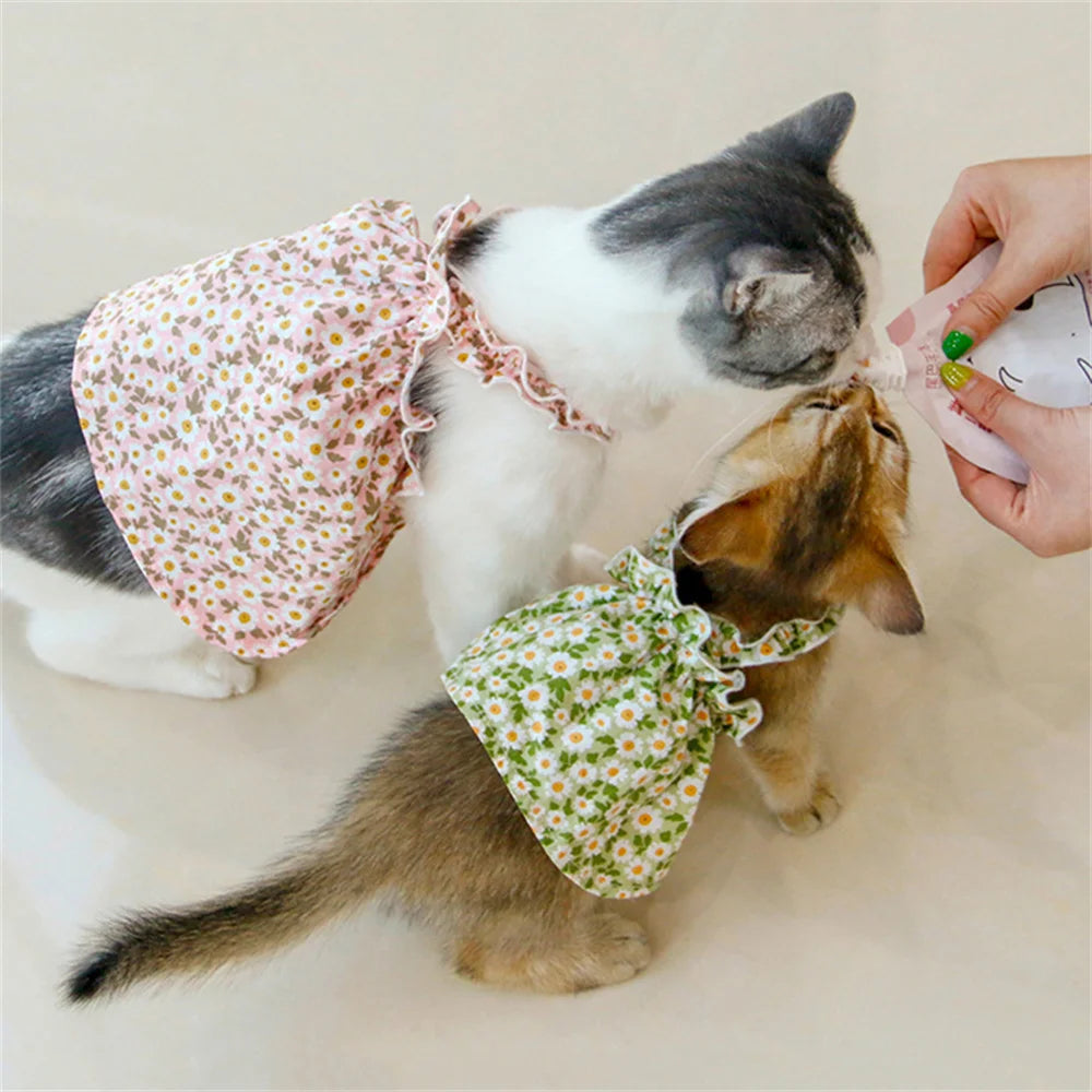 πΈπΊ Summer Cat Dress Cotton Suspender Princess Outfit