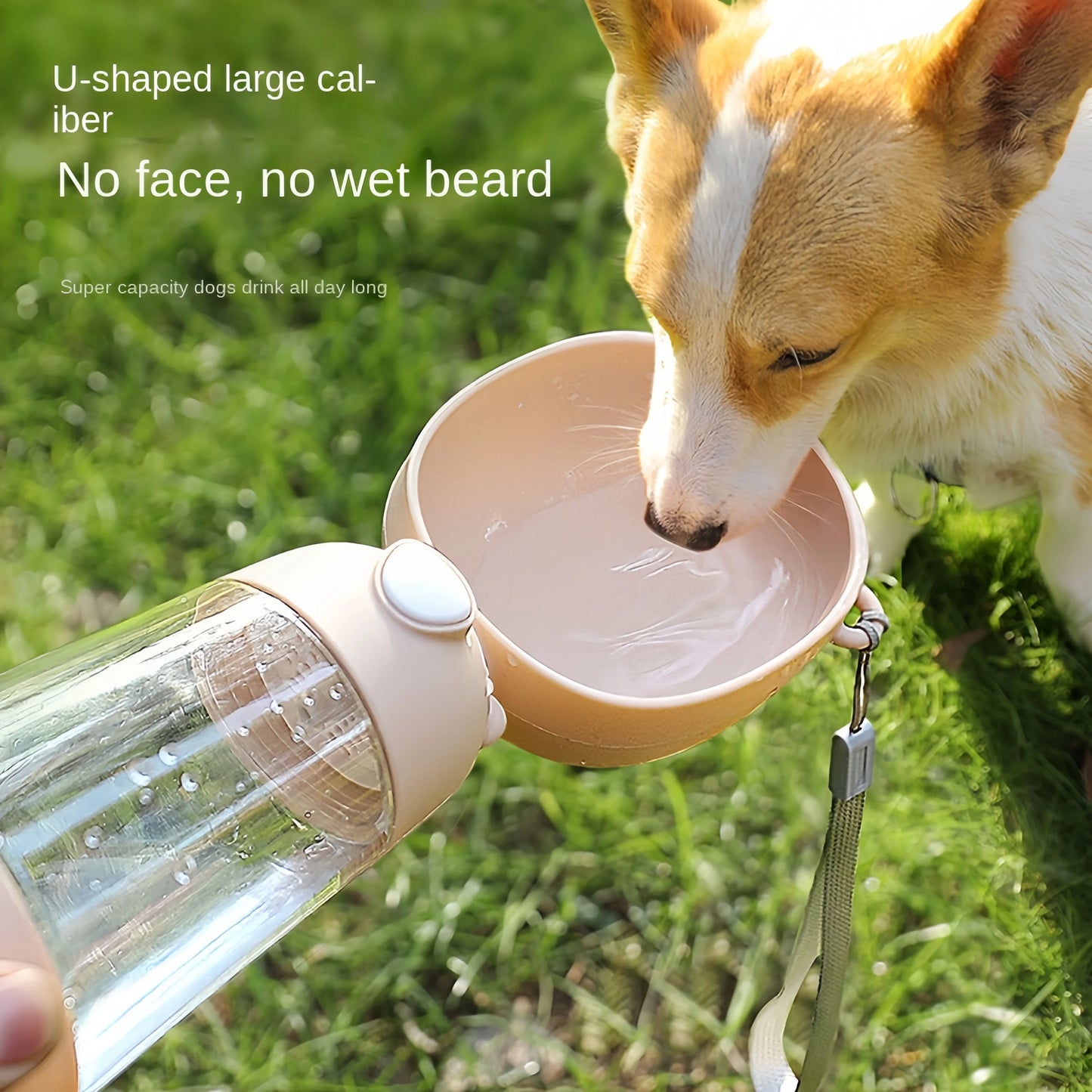 πΆπ± Portable Pet Water Bottle π§π Travel Cup with Food Dispenser