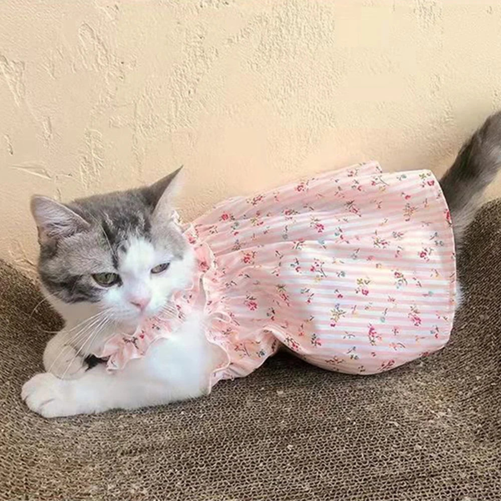 πΈπΊ Summer Cat Dress Cotton Suspender Princess Outfit
