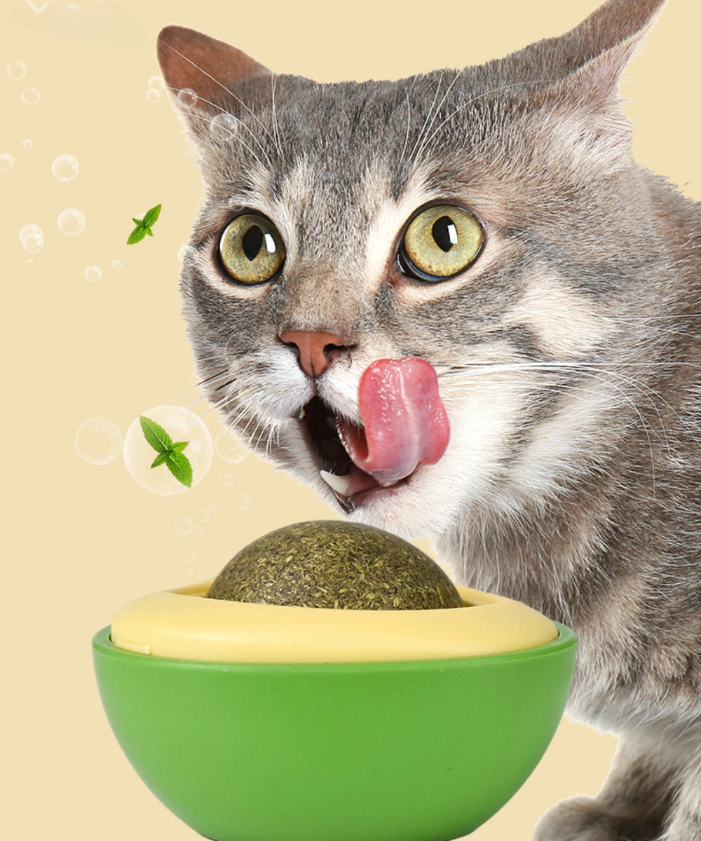 πΊπΏ Rotatable Catnip Ball Teeth Cleaning & Scratch Toy