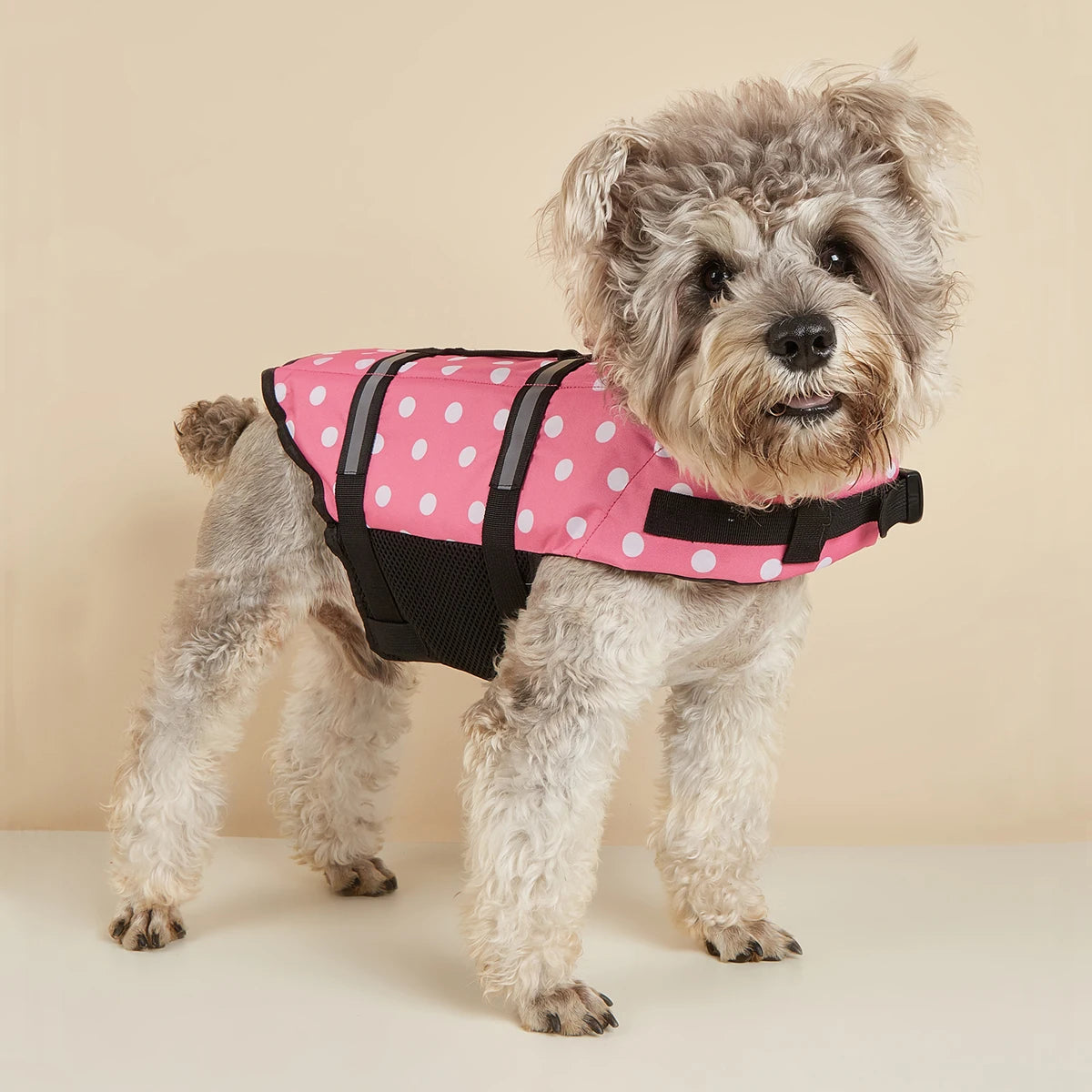 ๐ฆบ๐ถ Reflective Dog Life Jacket Adjustable Swim Vest for Large Dogs
