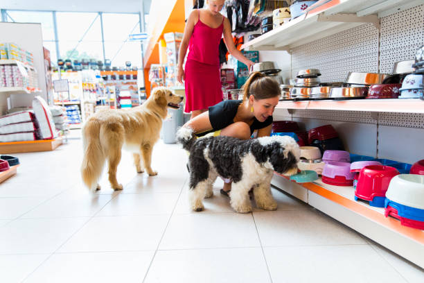 The Ultimate Guide to Choosing the Right Pet