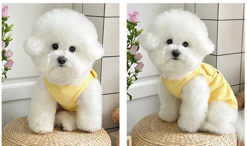 👕🐶 Summer Dog & Cat Vest Breathable Puppy Clothes