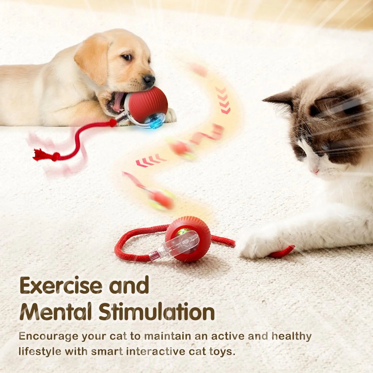 😺🎾 Smart Interactive Cat Ball Rechargeable Rolling Mouse Toy