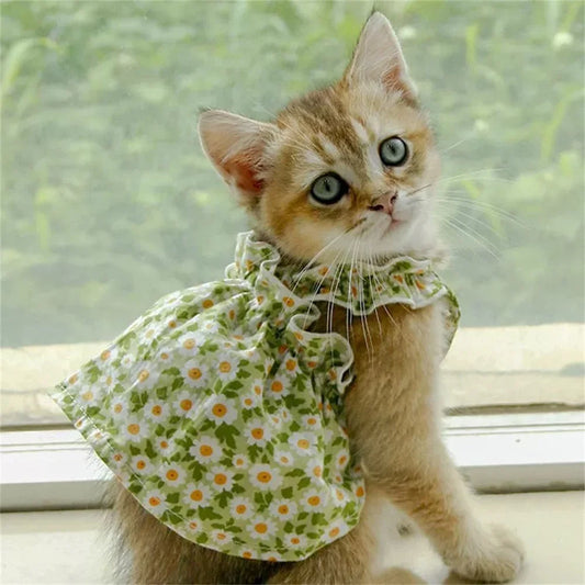 🌸😺 Summer Cat Dress Cotton Suspender Princess Outfit