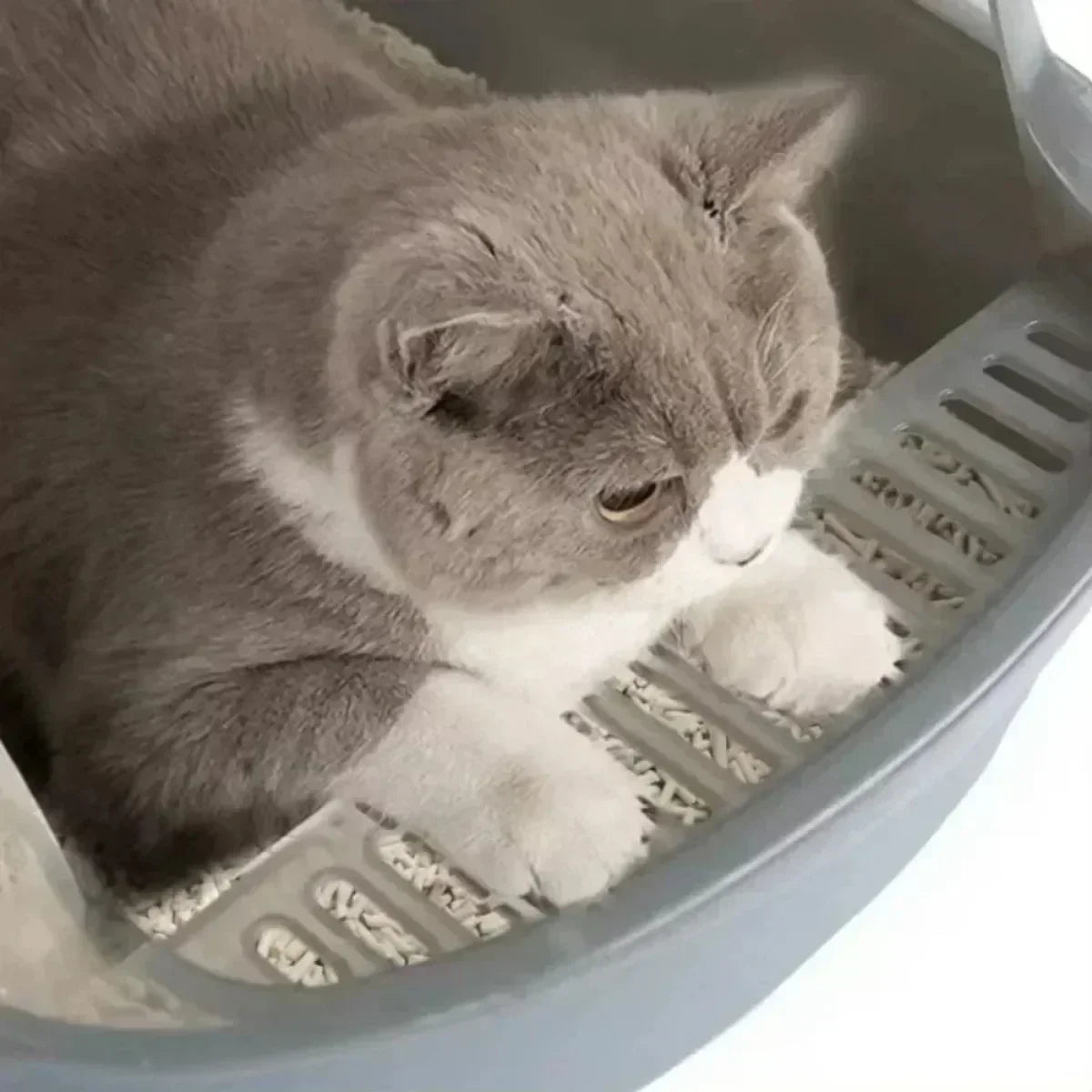 😺🐾 Semi-Enclosed Cat Litter Box Splashproof Tray