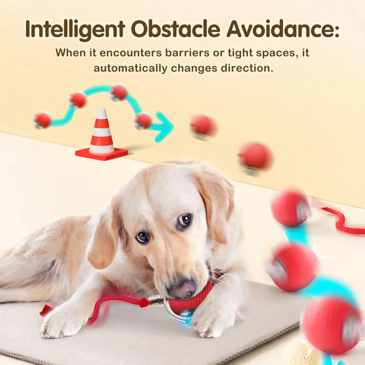 😺🎾 Smart Interactive Cat Ball Rechargeable Rolling Mouse Toy