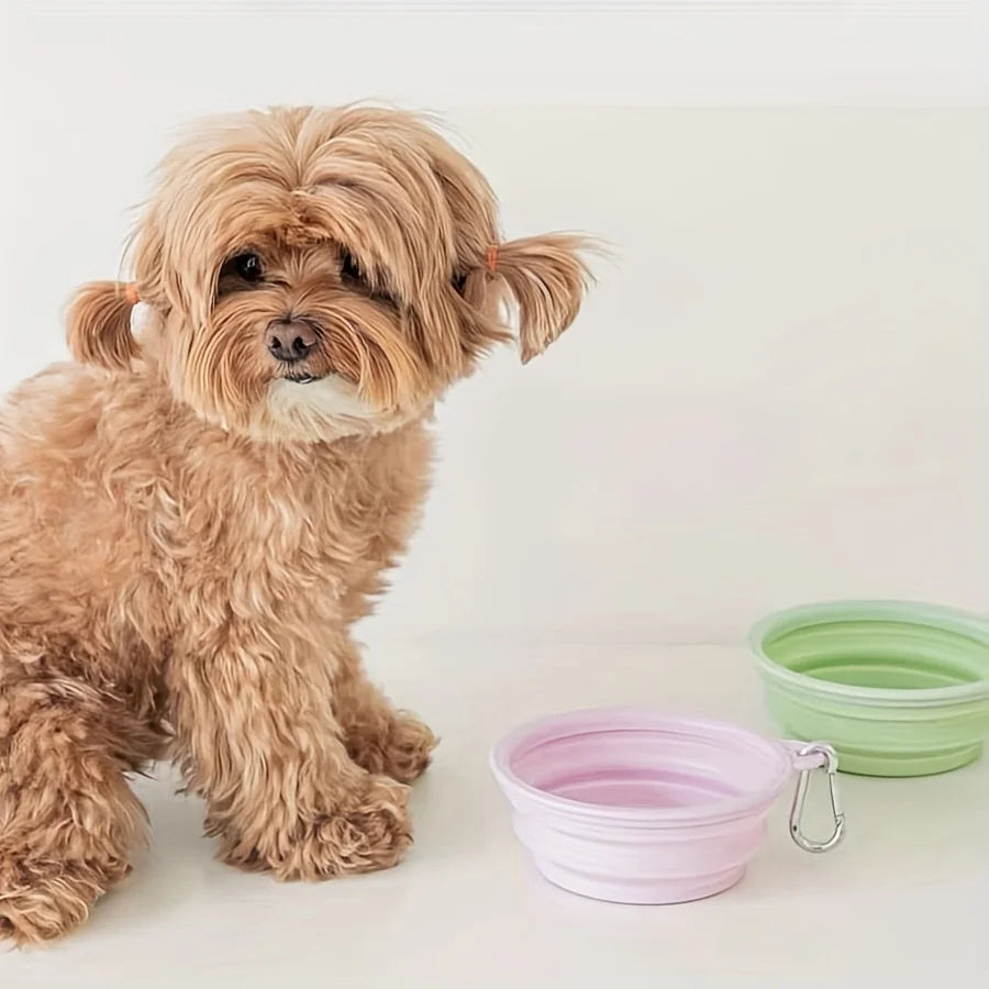 🐾 Foldable Pet Bowl 🧳💧 Portable Silicone Travel Feeder