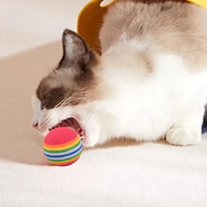 🌈 Pet Toy Balls 🎾🐾 Interactive Play for Cats & Dogs