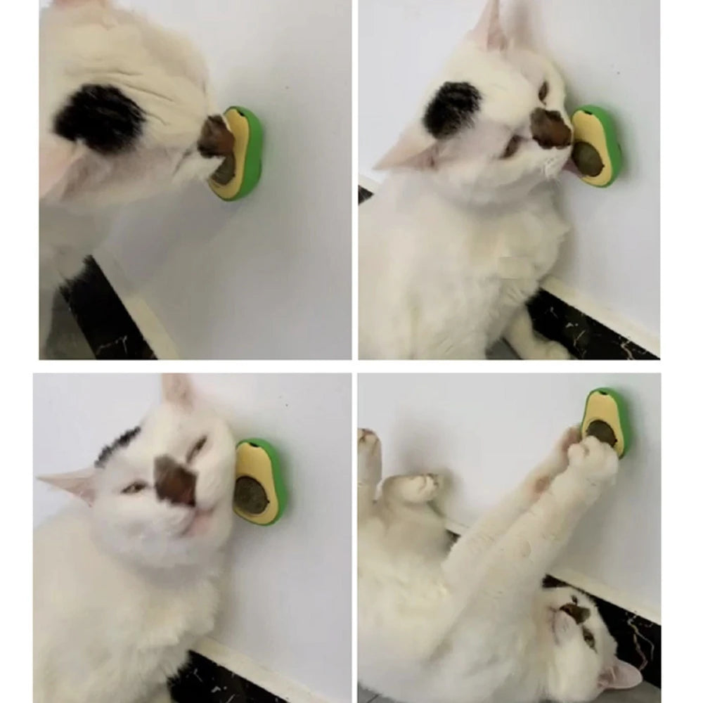 😺🌿 Rotatable Catnip Ball Teeth Cleaning & Scratch Toy