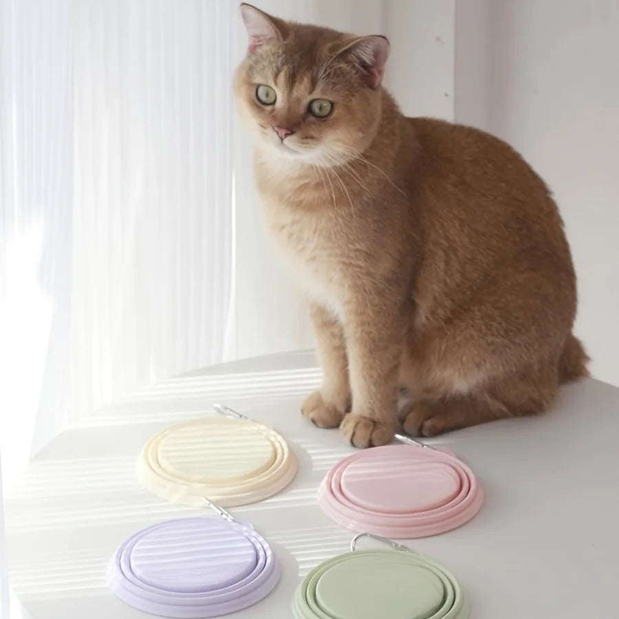 🐾 Foldable Pet Bowl 🧳💧 Portable Silicone Travel Feeder