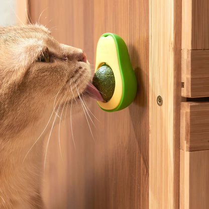😺🌿 Rotatable Catnip Ball Teeth Cleaning & Scratch Toy