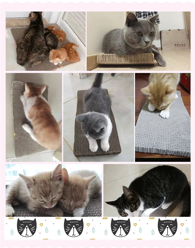 🐾 Cat Scratcher Bed 🛋️✨ Toy, Claw Sharpener & Sofa Cushion