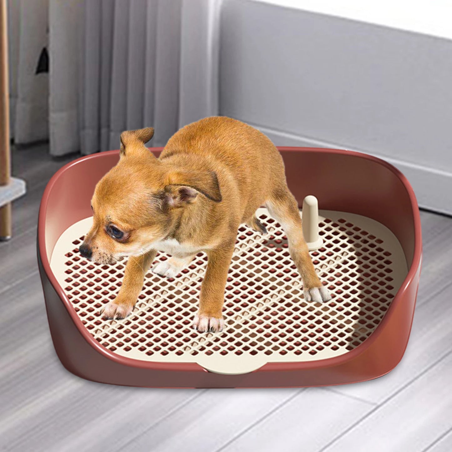 🐶 Dog Potty Trainer 🚽✨ Portable Anti-Splash Toilet for Pets