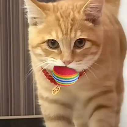 🌈 Pet Toy Balls 🎾🐾 Interactive Play for Cats & Dogs