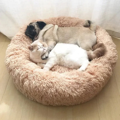 😺🛏️ Plush Donut Cat Bed Super Soft & Washable