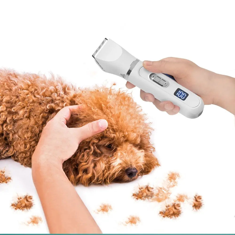 🐶✂️ Pet Hair Clippers 🔋✨ Silent USB Rechargeable Grooming Tool